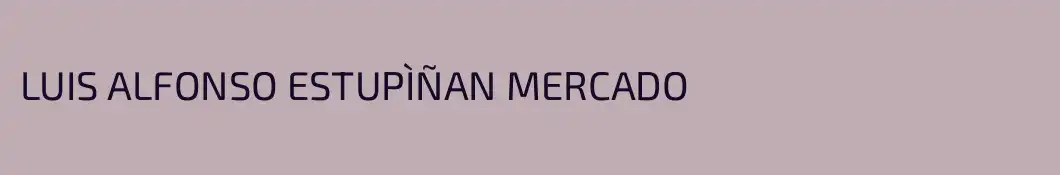 LUIS ALFONSO ESTUPÌÑAN MERCADO
